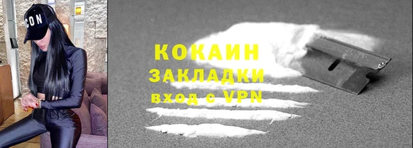 ГАЛЛЮЦИНОГЕННЫЕ ГРИБЫ Богданович
