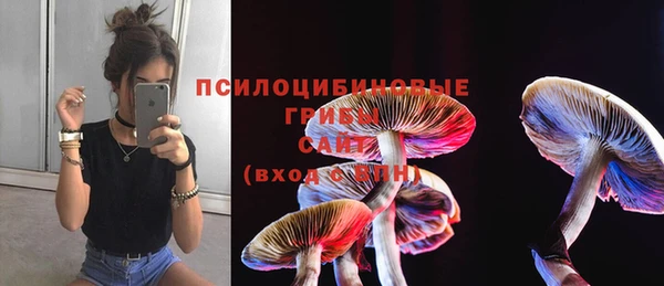 прущий лед Карпинск