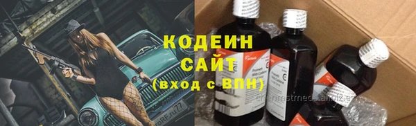 прущий лед Карпинск