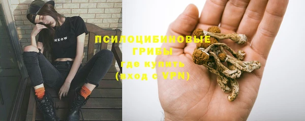 apvp Богородицк