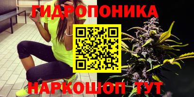 прущие крисы Нальчик