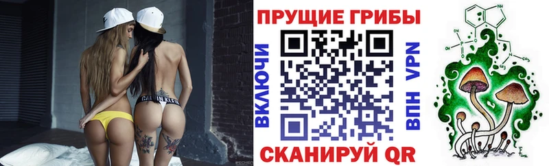 Галлюциногенные грибы Magic Shrooms  блэк спрут как войти  Старый Оскол 