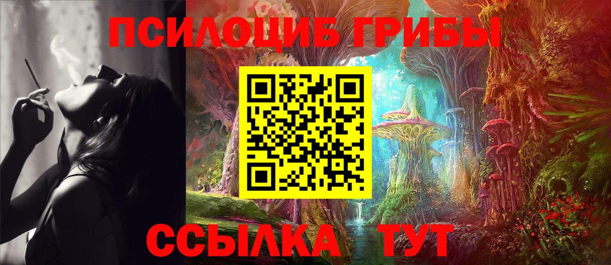 Галлюциногенные грибы Psilocybine cubensis Старый Оскол